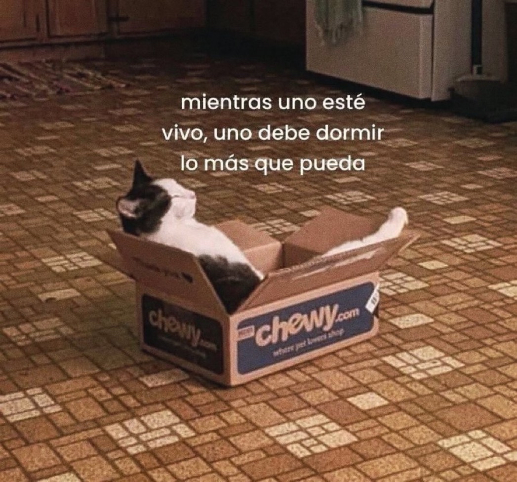 Guarromantico_'s tweet image. Y recuerden…