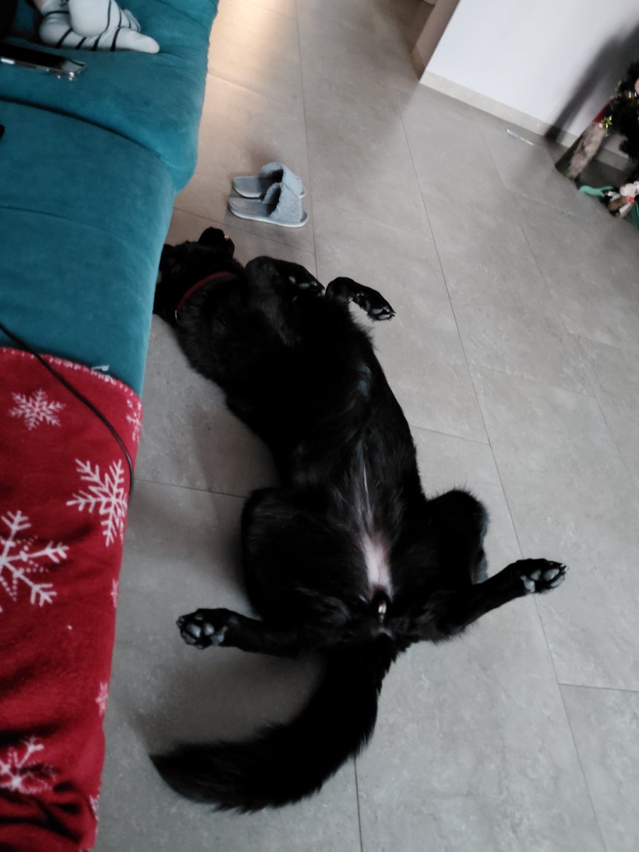 inactive | yui / юї 🪷 tweet media