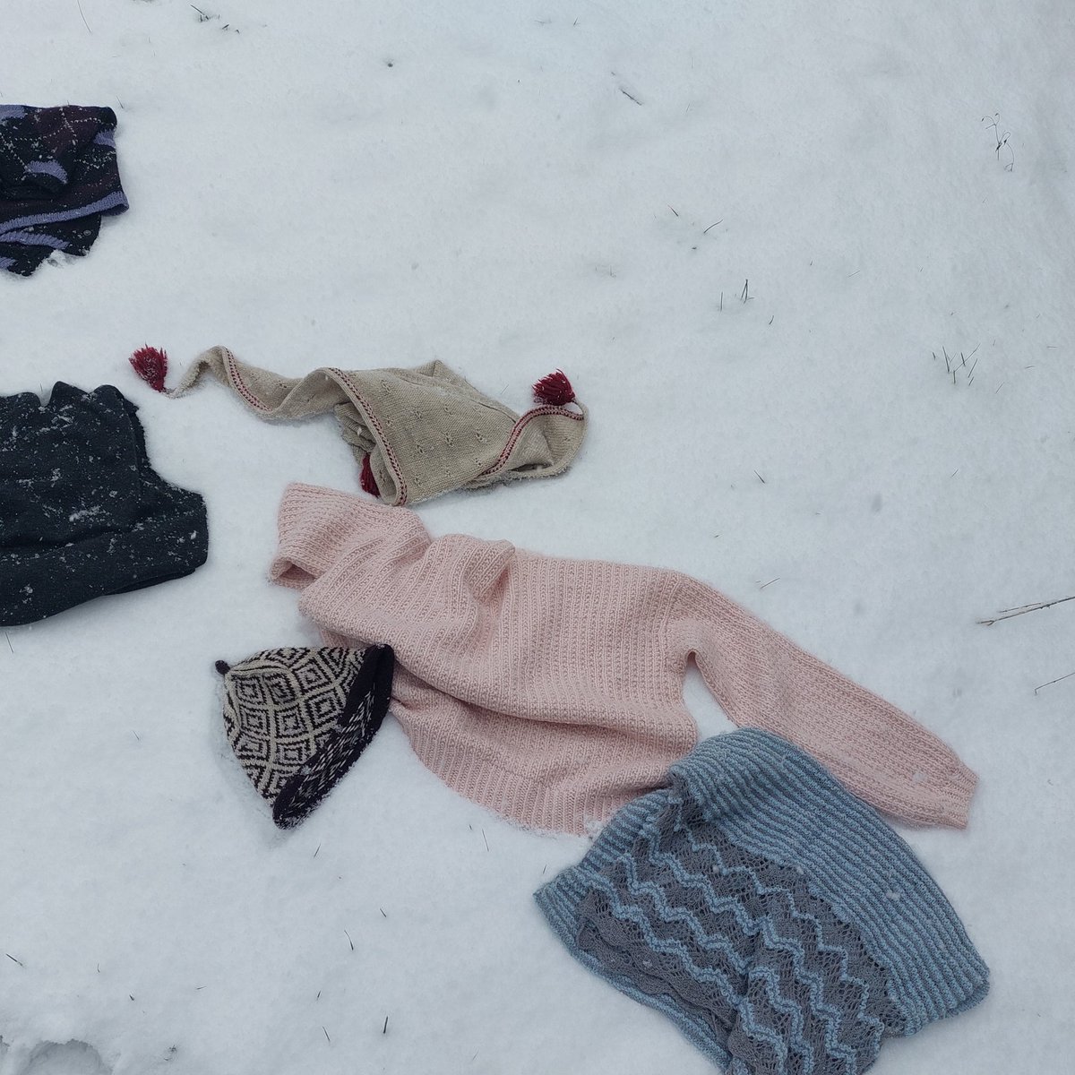 한양대 인문관 앞이랍니다 🦁 야생 너구리가 출몰하기도 하는 곳 ..🦝, image size:1200x1200