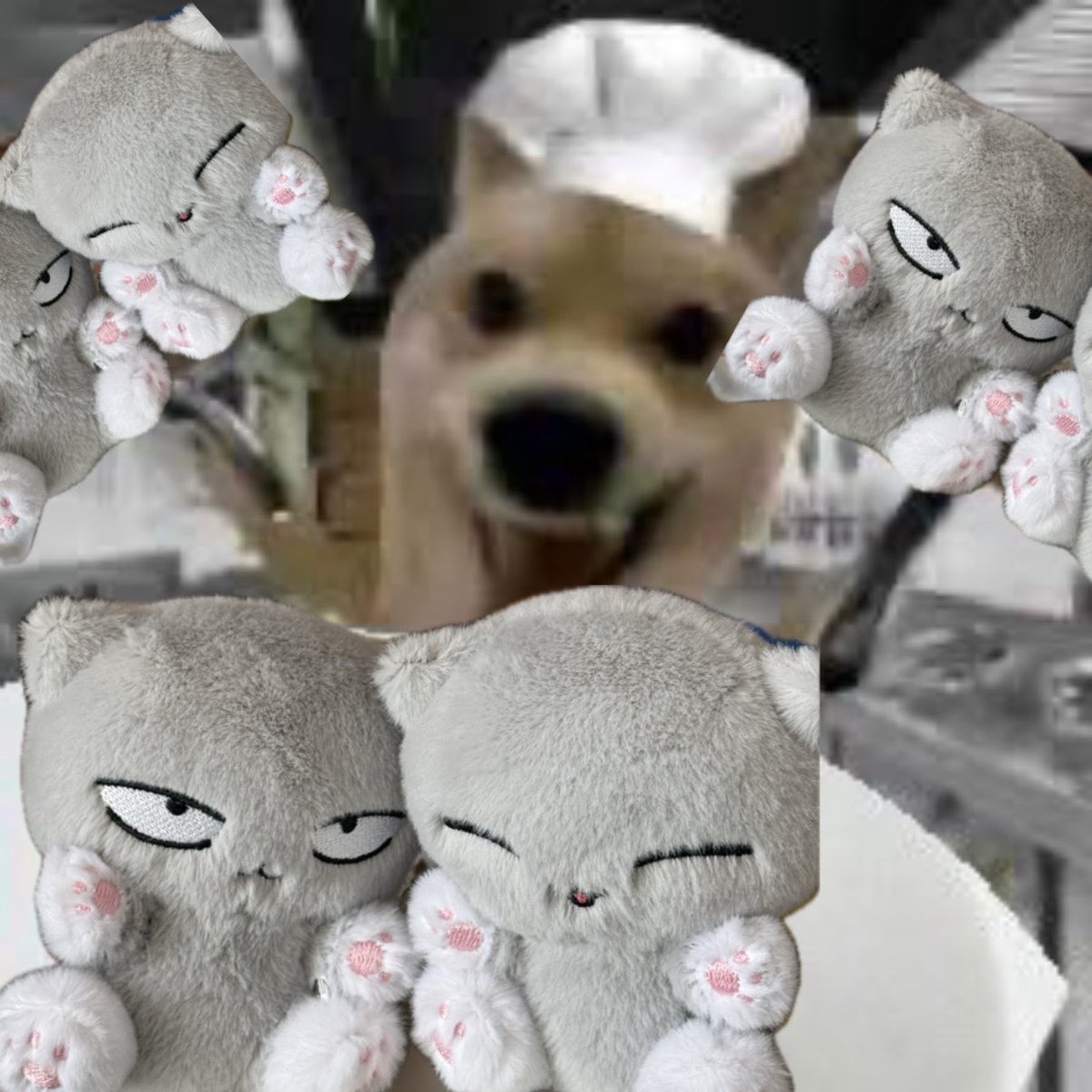 2025 잘산템 중 1나라네요