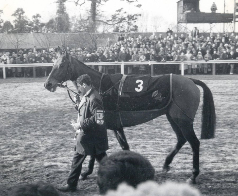 Arkle at Kempton Park, 1965.