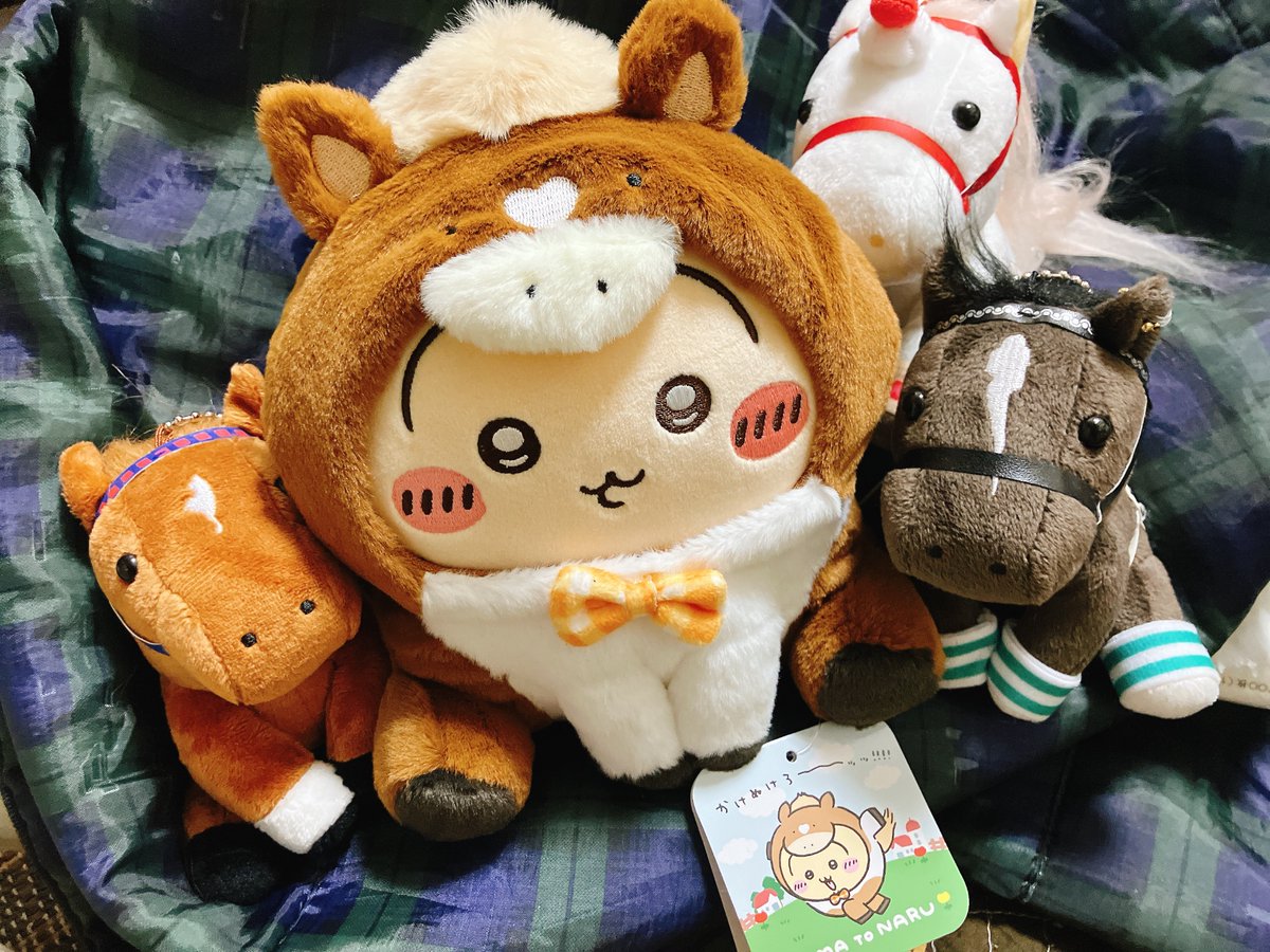 Post by 新藤 on X: 🐎