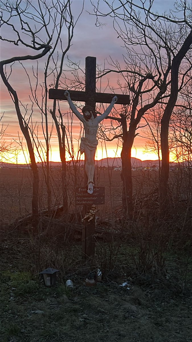 Charles A. Coulombe tweet media