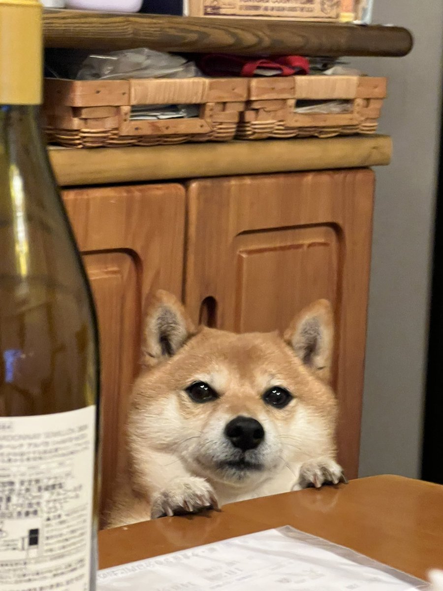 視線がやばい😅