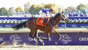 HORSERACING1002's tweet image. UNCLE MO 🇺🇸2008
(INDIAN CHARLIE  - PLAYA MAYA BY ARCH)#UncleMo
B/ Cavey(Ky) Mar 10, 2008.
O/ Repole Stables
T/ Todd Pletcher 
KEENOV $160,000
KEESEP $220,000
8-5-1-1---$1,606,000
2010 champion 2yo Colt. 
Champagne S G1, Breeder's Cup Juvenile G1, Timely Writer S, Kelso H G2.
2nd