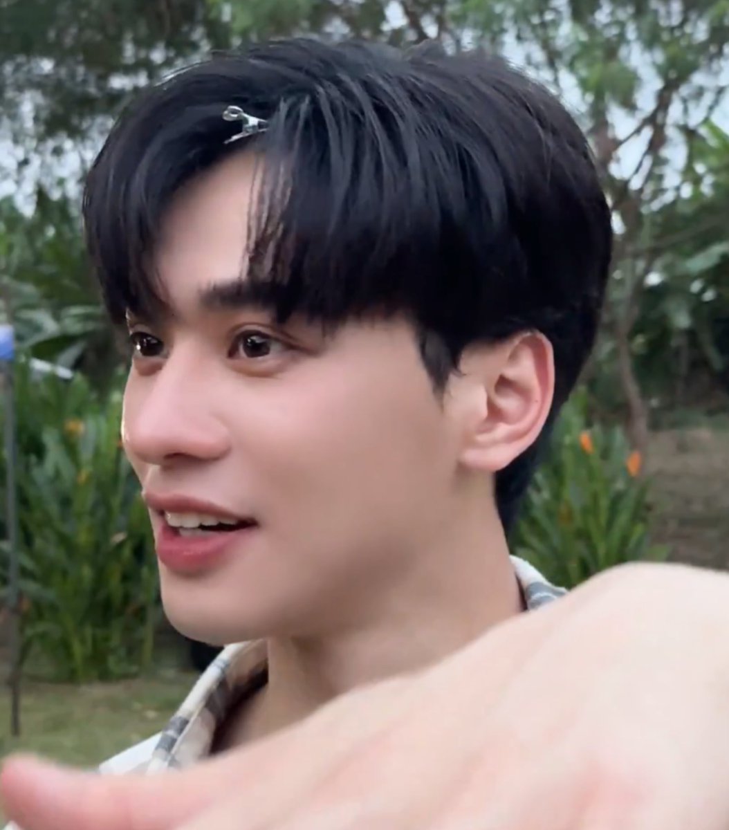 เป็ดที่ปุ๋งลง                                       เป็ดที่ป้าโอ๋เห็น