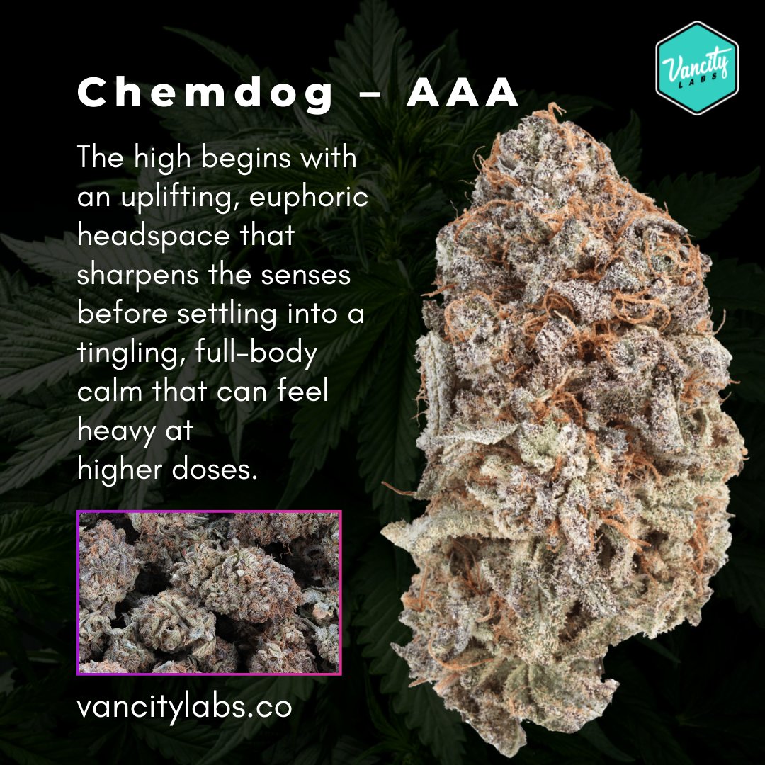 Chemdog – AAA 🔥 Kick off with an uplifting, euphoric head high 🧠 that ...