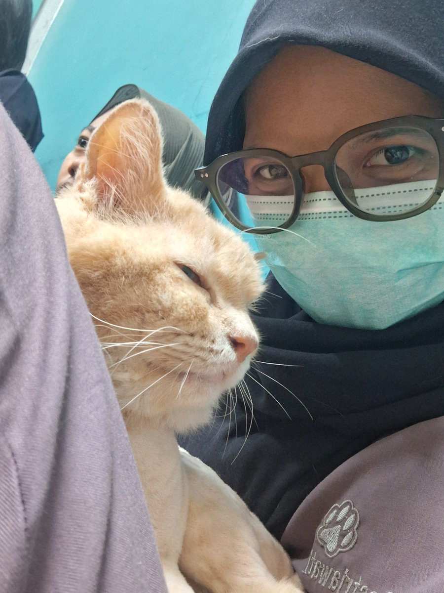 zygomaticus_m's tweet photo. Niko nikonikkk https://t.co/2qVCRjVXb5