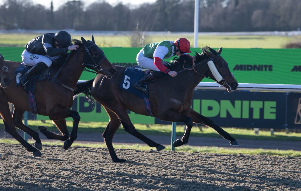 Lingfield Park tweet media