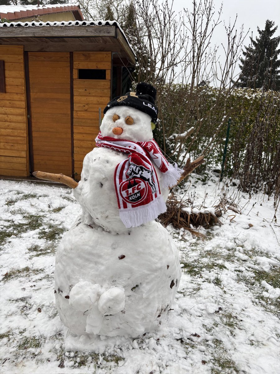 Michael Bröcker 💎 tweet media