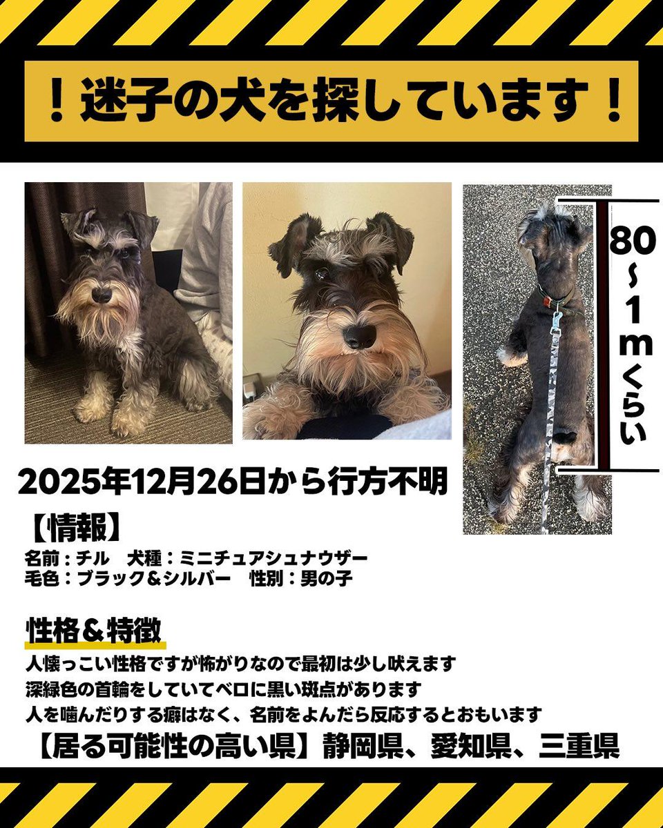 chimakinakoron's tweet photo. ※ Threadsより（初見です）
クズ暴力男が犬を連れて出て行き、犬に暴力ふるって山に捨ててきたと言ってるらしい。
糞男も腹立つけど、既に１週間。なんとか見つけてあげたいので、ご一読、拡散お願いします。
#静岡 #浜松 #マイクロチップ #シュナウザー #迷子 
#拡散希望 

https://t.co/Ef146hUUFT https://t.co/Fv0pBjpKwE