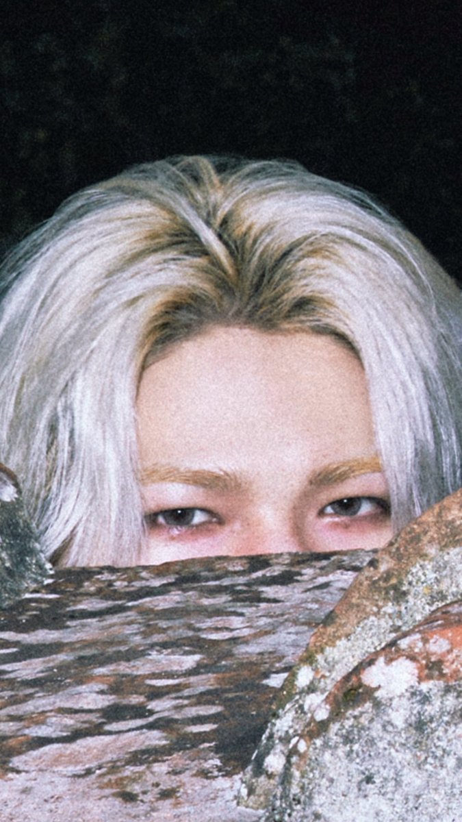 idolsized's tweet image. just a kitty