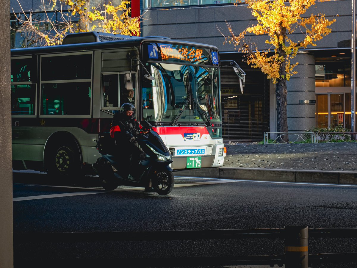 2026. 01.03 Rights Lights Tokyo #snap