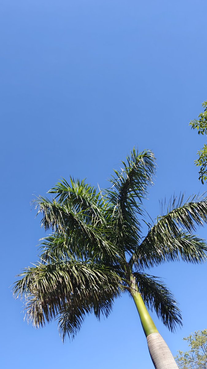 Was für ein blauer Himmel. Heute morgen erstmal shoppen gewesen. danach ab in den Pool. 😍 #Paraguay