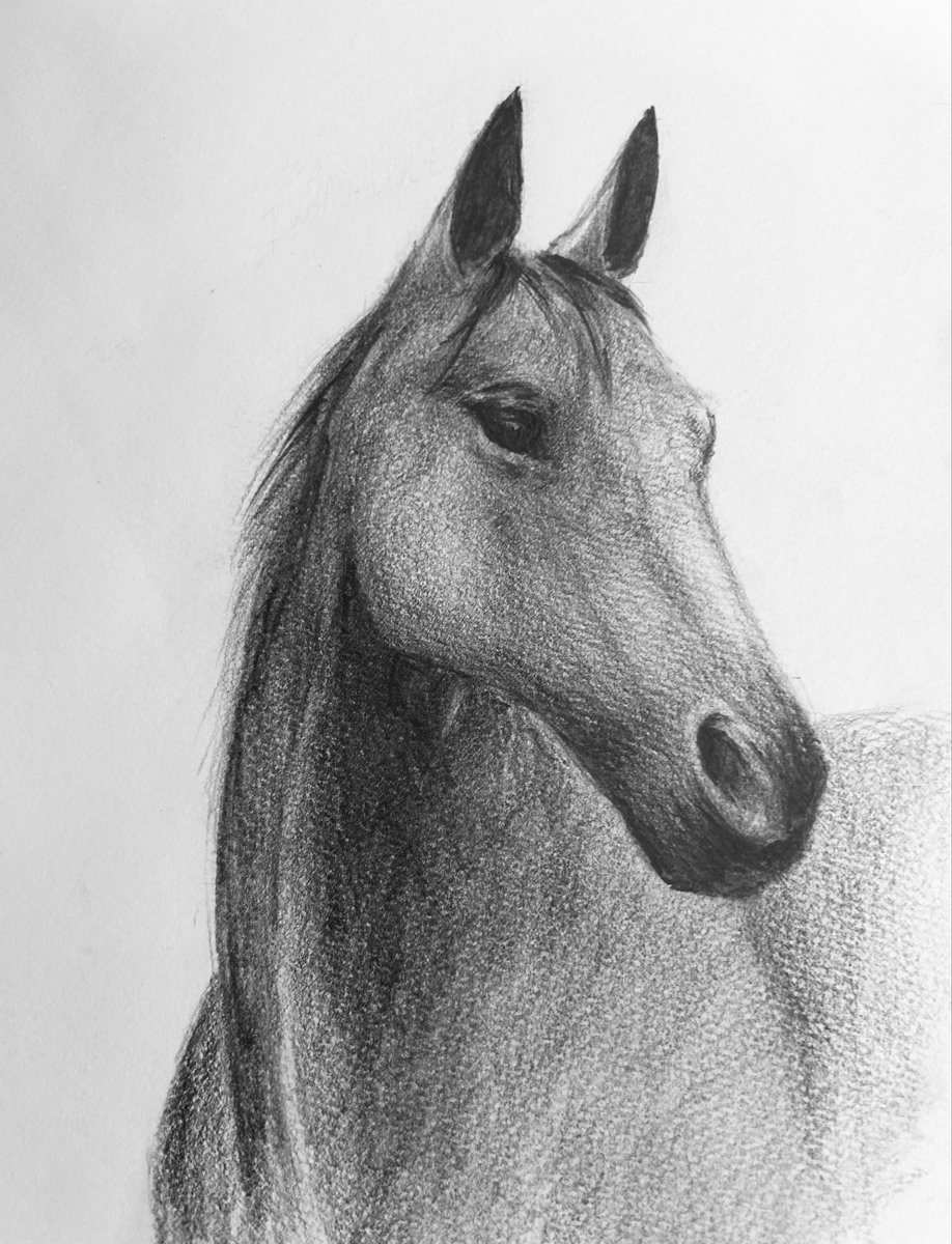 明けましておめでとうございます
久しぶりなので、ずっと前に描いたジャン、じゃなくて馬で新年のご挨拶☺️🎵