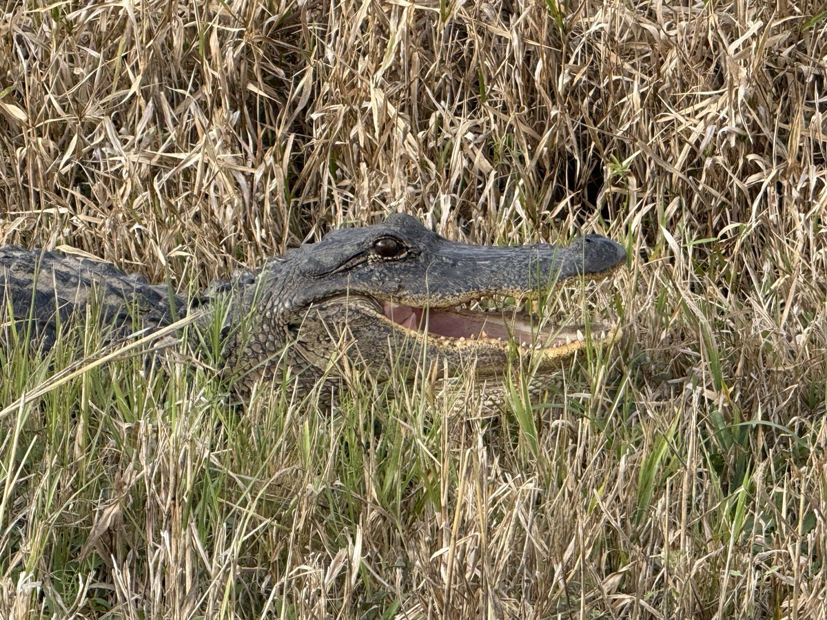 Playingwithu tweet media