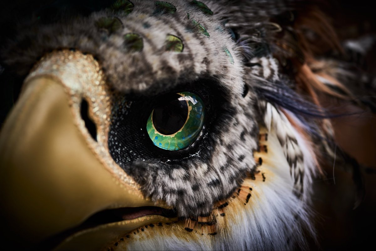 “Our memories live on in mortal minds….. and poets pens…. We’ll ride again”

youtu.be/u8Q0sX2cv-Q?si…

#ANE26 soon! 

<a href="/KalitheBirb/">Kali</a> 📸
<a href="/TheBeastcub/">TheBeastcub</a> 🪡