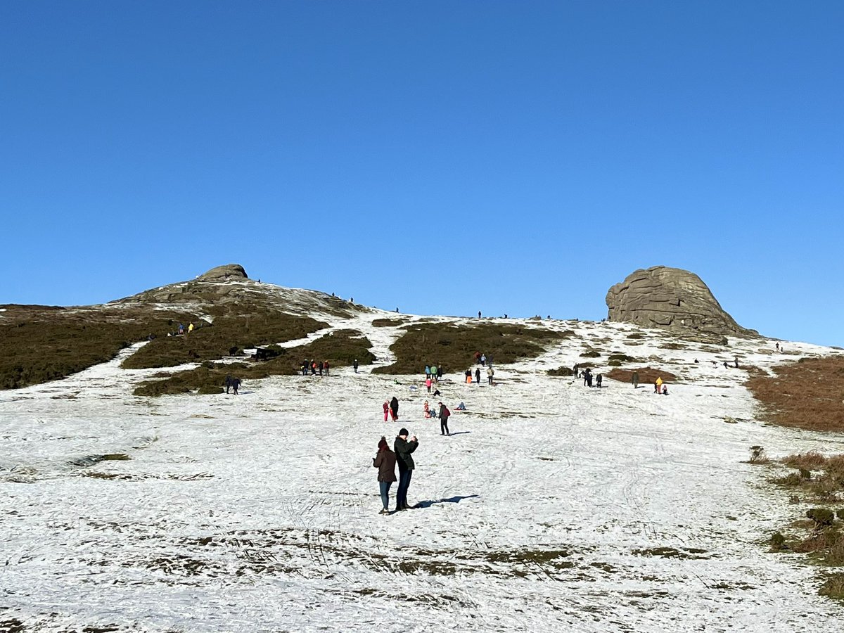 Lisa Singleton tweet media