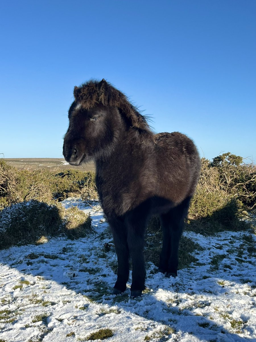 Lisa Singleton tweet media