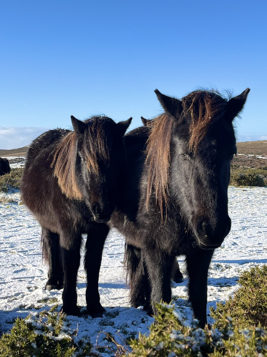 Lisa Singleton tweet media