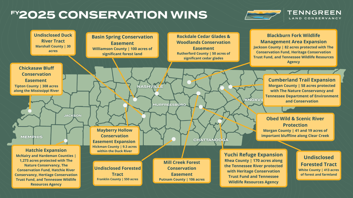 TennGreen Land Conservancy tweet media