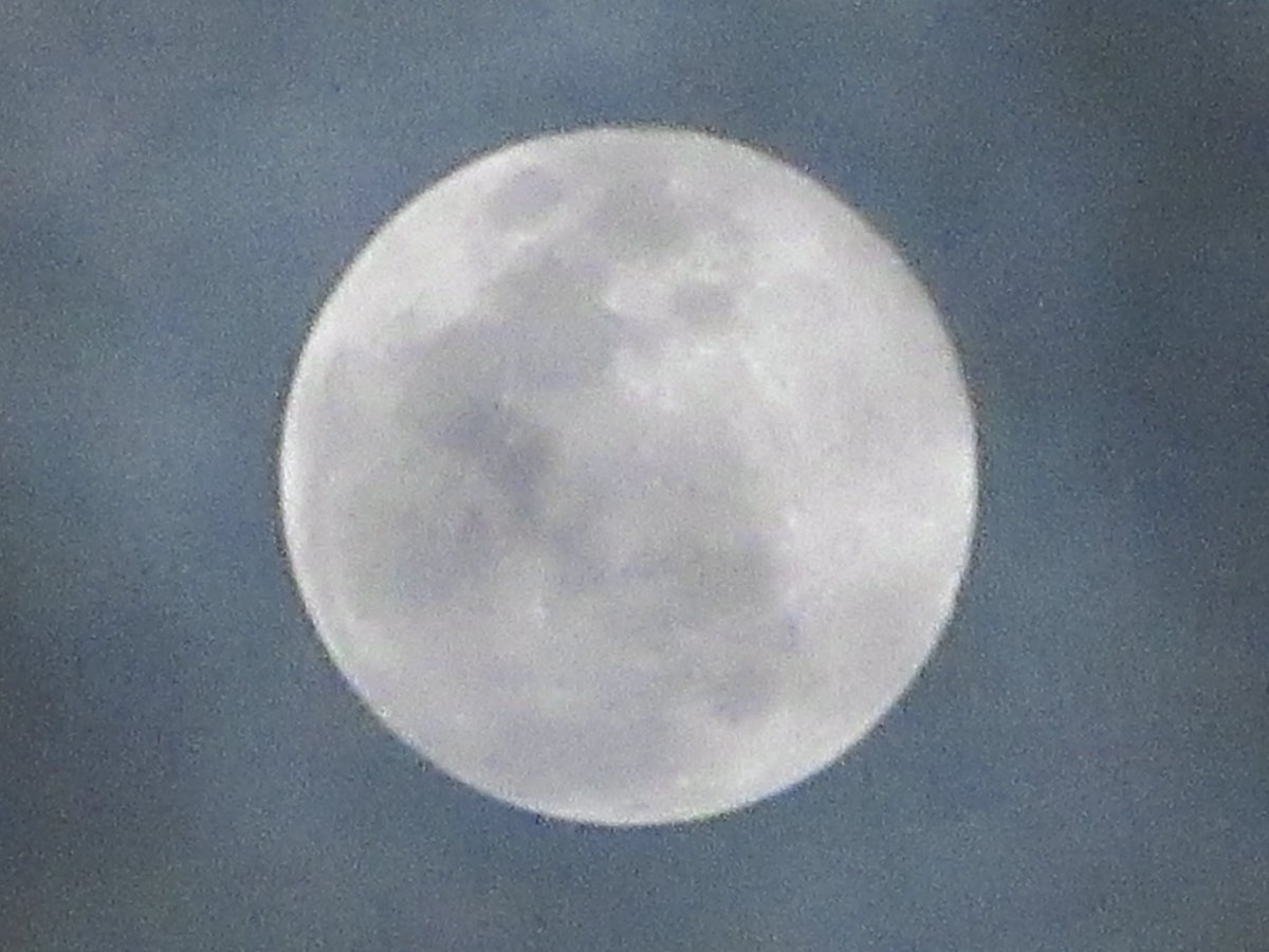 こんな時間に今晩は😌 ＿人人人人人人人人＿ ＞ まんげっちゃー ＜ ￣Y