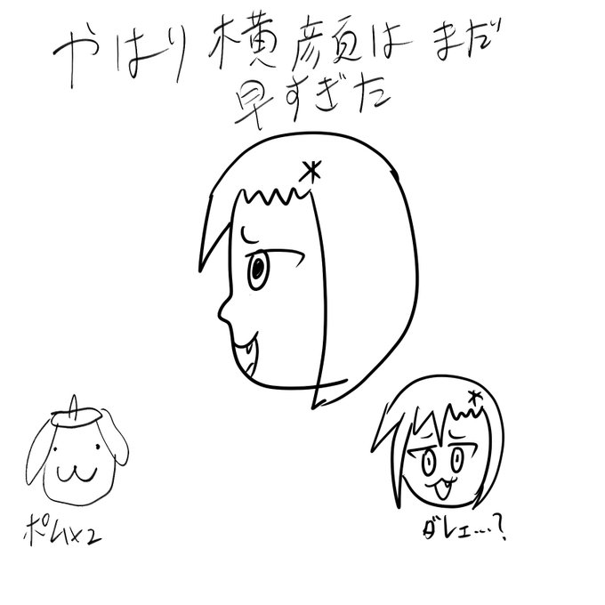 やはり教本が必要か…… 