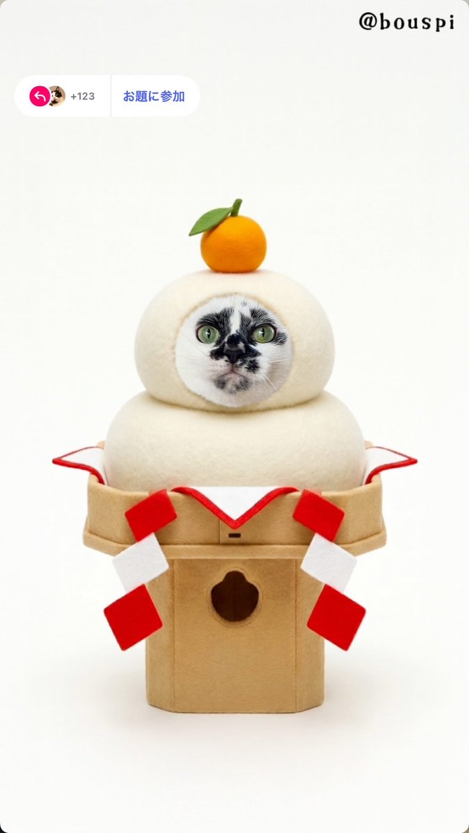 熱海 Muddy Cat (@muddycat_atami) on Twitter photo 