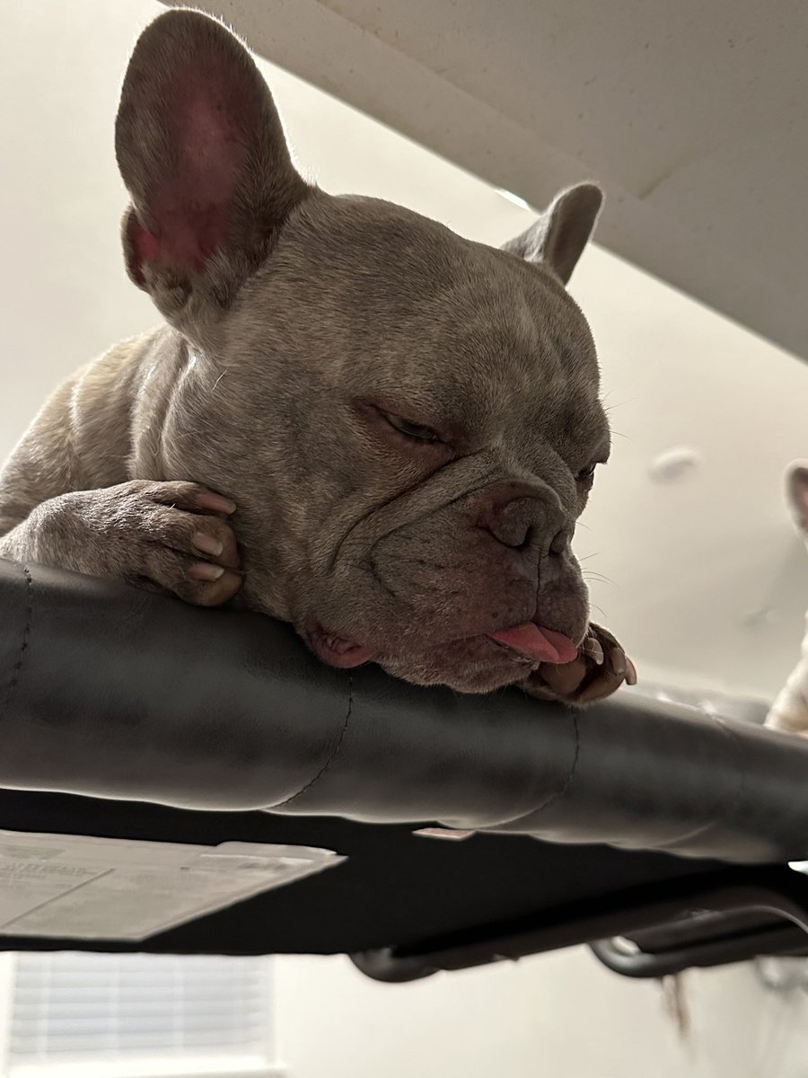 KoffeeKandi tweet media