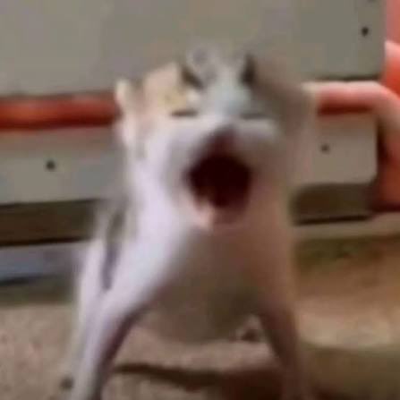 OPHELIAAAAAAAAAAAAAAAAAAAAAAAAAAAAAAAAAAAAAAAAA