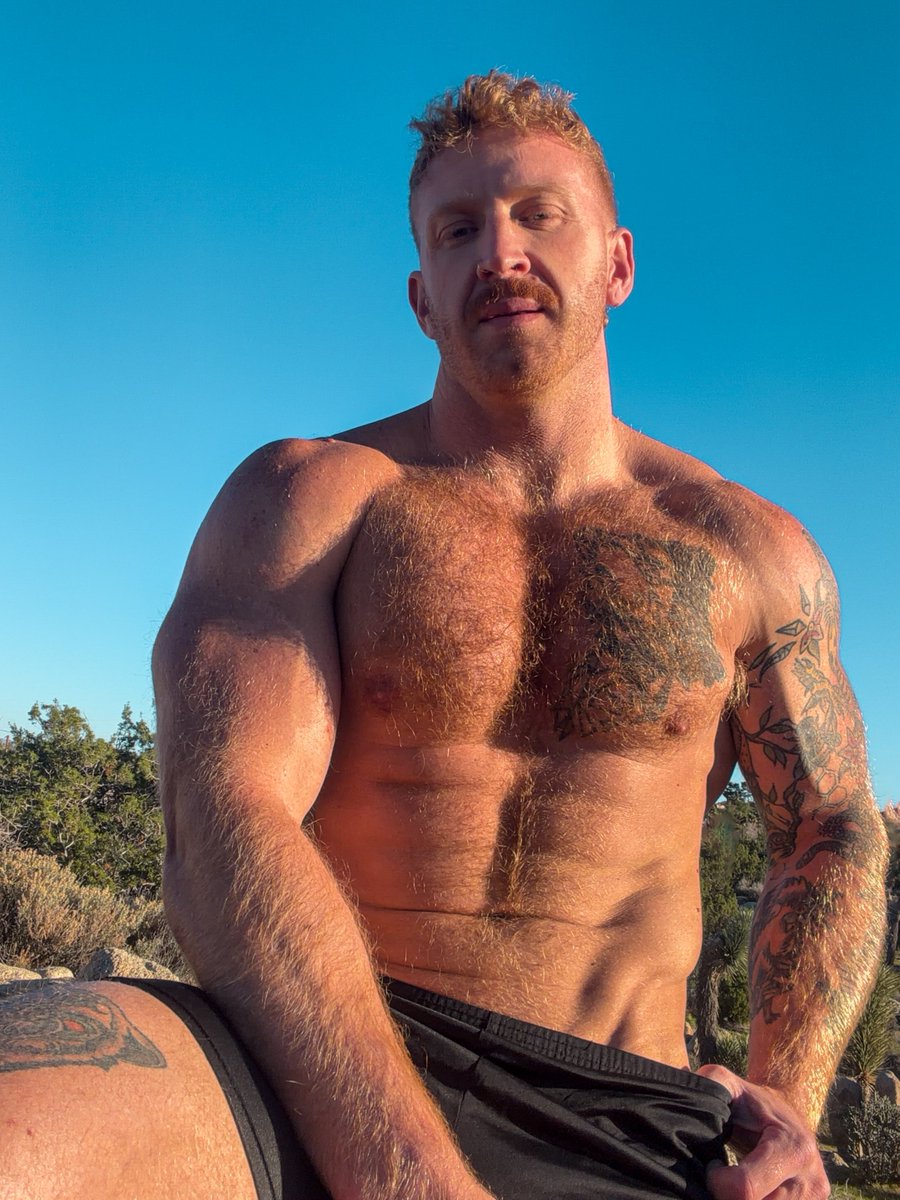 Lev Lieben tweet media