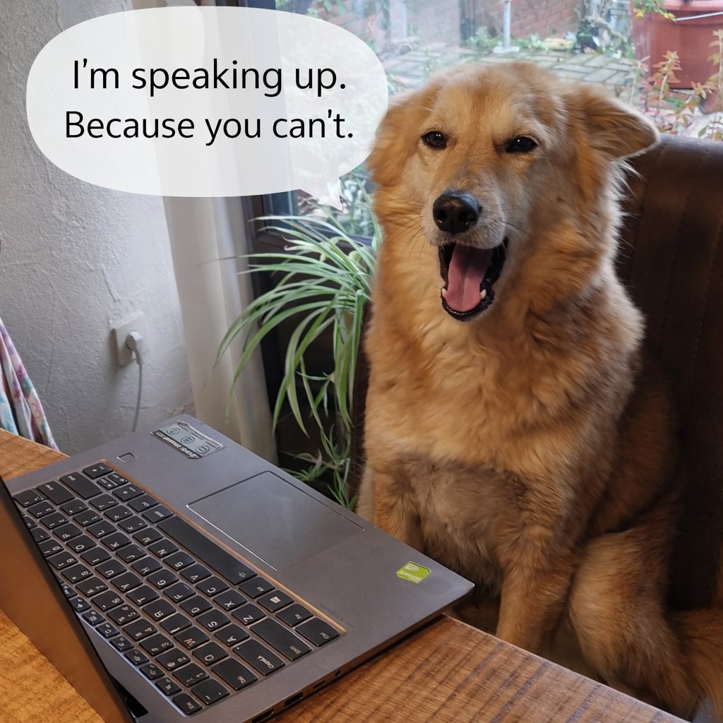 india2310's tweet photo. #stopanimalcruelty #justiceforstreetdogs #AnimalLovers #animalrights #EndAnimalAbuse #CrueltyisCrime https://t.co/YAI50h9Fd4