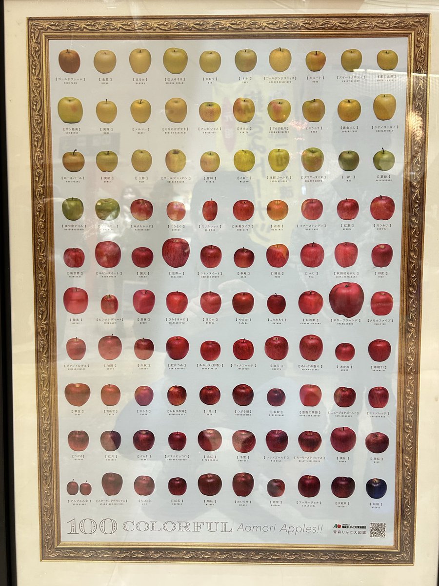 珍しいりんご大集合🍎

青森りんご大図鑑↓
aomori-ringo.or.jp/starcut/variet…

#あおもり屋
#りんご飴
#りんご図鑑
#珍しいりんご
#アスパム