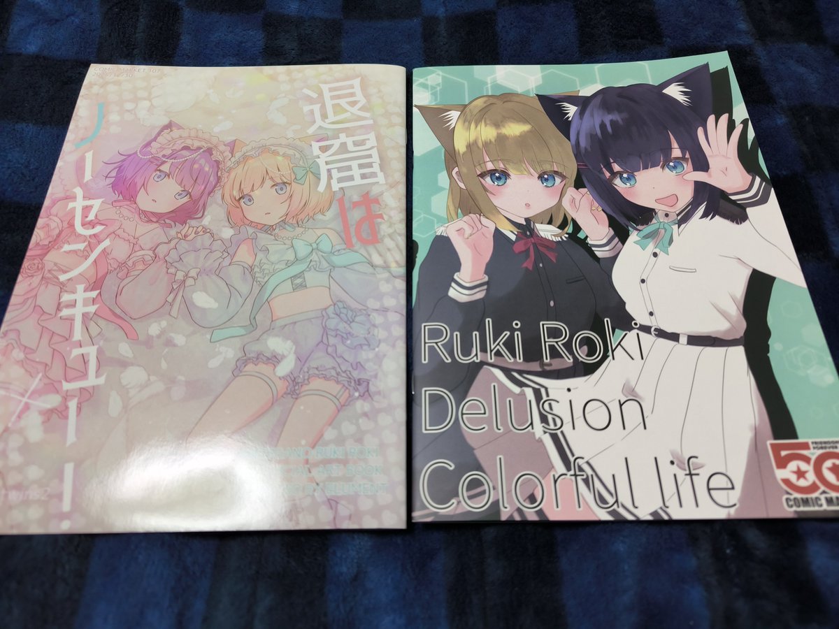 引退してから6年後でも
ルキロキのご本がある嬉しさ🦊♊🦊