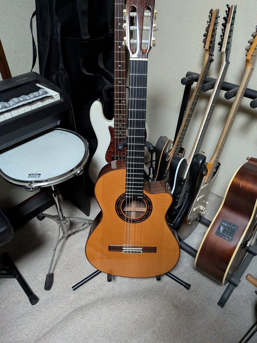 今年はガットギターの練習多めにいこうかなぁー♪
フィンガーのトレモロを1年かけて練習しようかなと思ってる今日この頃です!