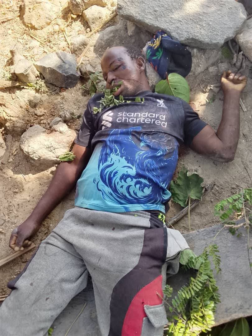 Zagazola tweet media