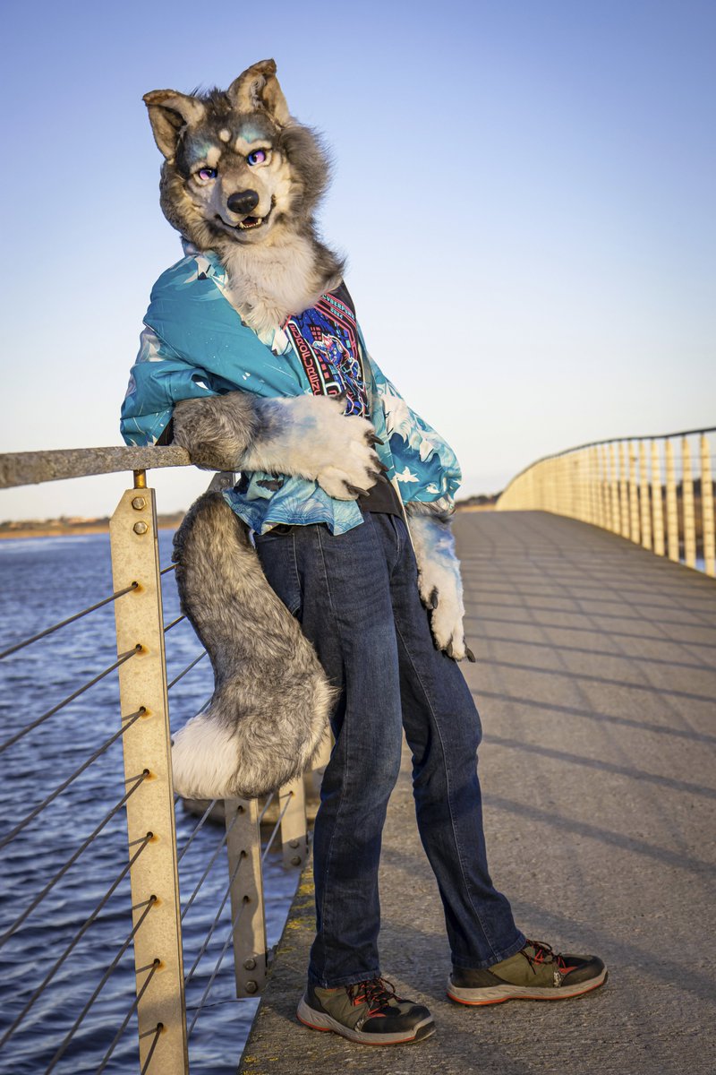 Fao Wusky tweet media