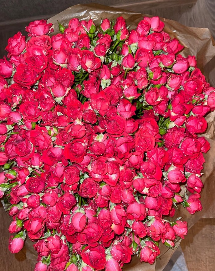 Poppy (@flower377899) / Posts / X
