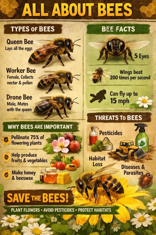 Bernard Newton (@beeman1200) on Twitter photo 