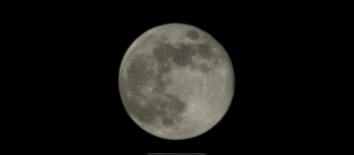 Ben Williams🇺🇦 tweet media