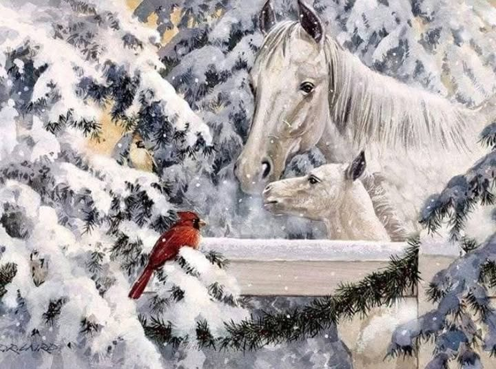 <a href="/WilliamGarrigue/">William 🇫🇷</a> 
Bonne Année William🌹🌹🌹