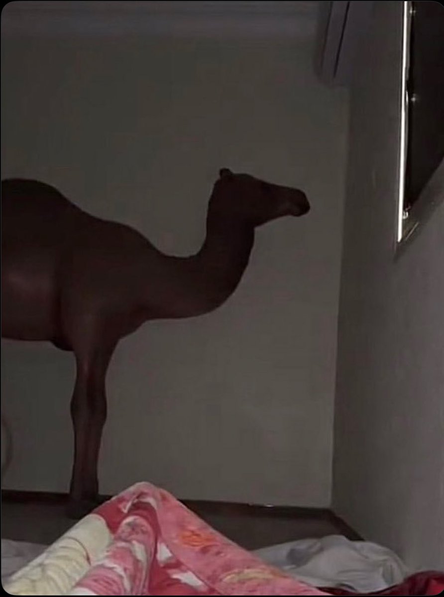 احلامك اذا نمت وحرارتك 40