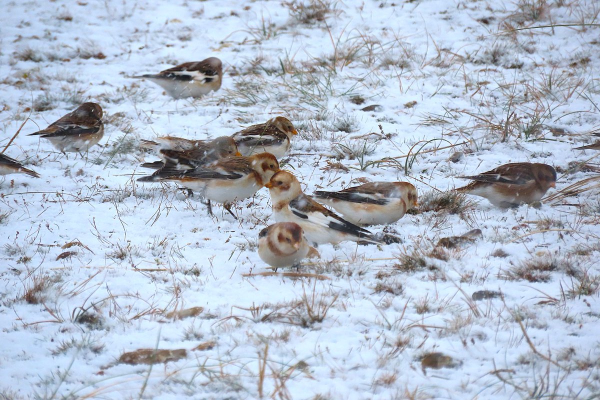 Noah Bailey tweet media