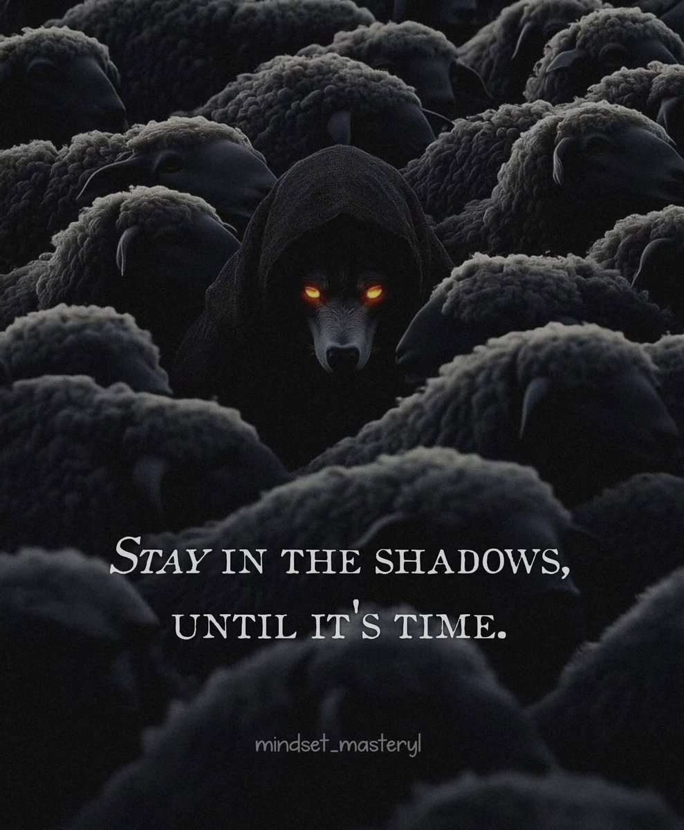 Mind_Essentials's tweet image. 