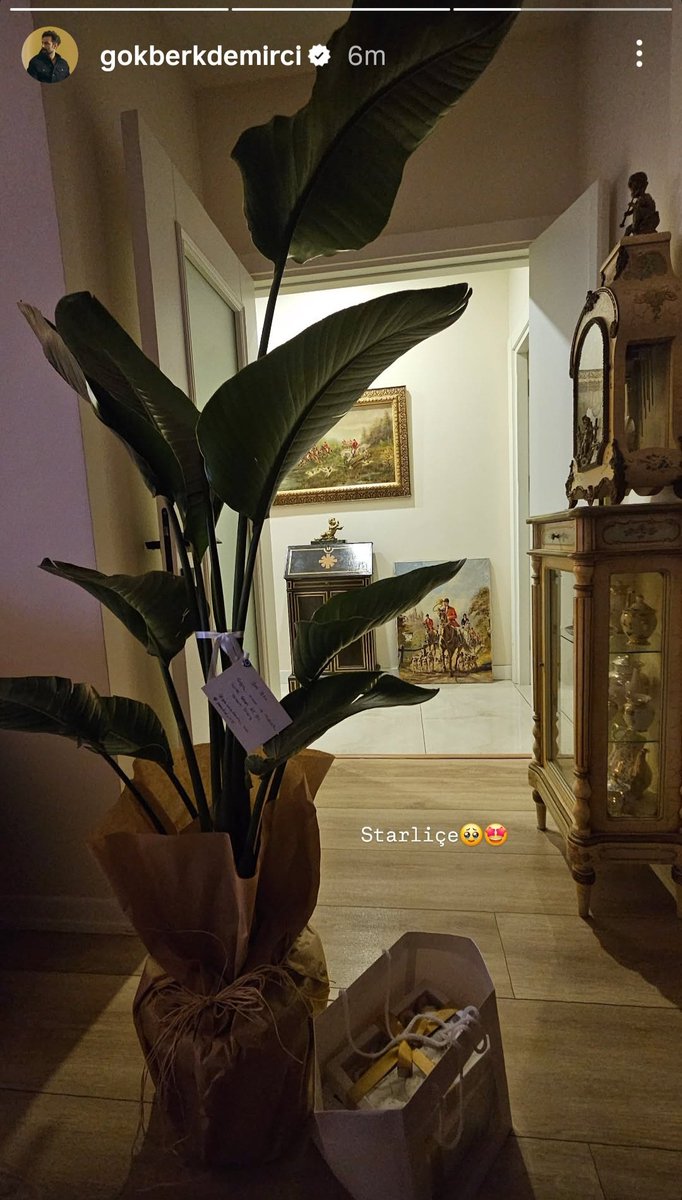 Gökberk abim için yeni yıl hediyesi gönderdim çok mutlu oldu ve teşekkür etti 😍💙

GökberkDemirci #GökberkDemirci