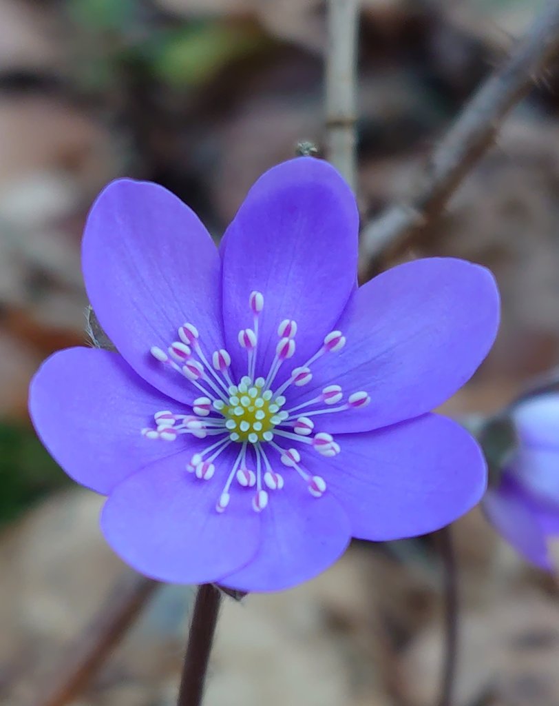 mate8069's tweet image. 1️⃣月4️⃣日、日曜日🌤️
皆さん、おはよう👋
いつもありがとう😊
皆さんにとって楽しい
日曜日なりますよう〜に✨
寒いから風邪をひかないように
気をつけてくださいね💫
今日も宜しくお願いします〜🙏

さて、今朝の一曲は、
fumika / Endless Road 🎶

#写真好きな人と繋がりたい
#NaturePhotography