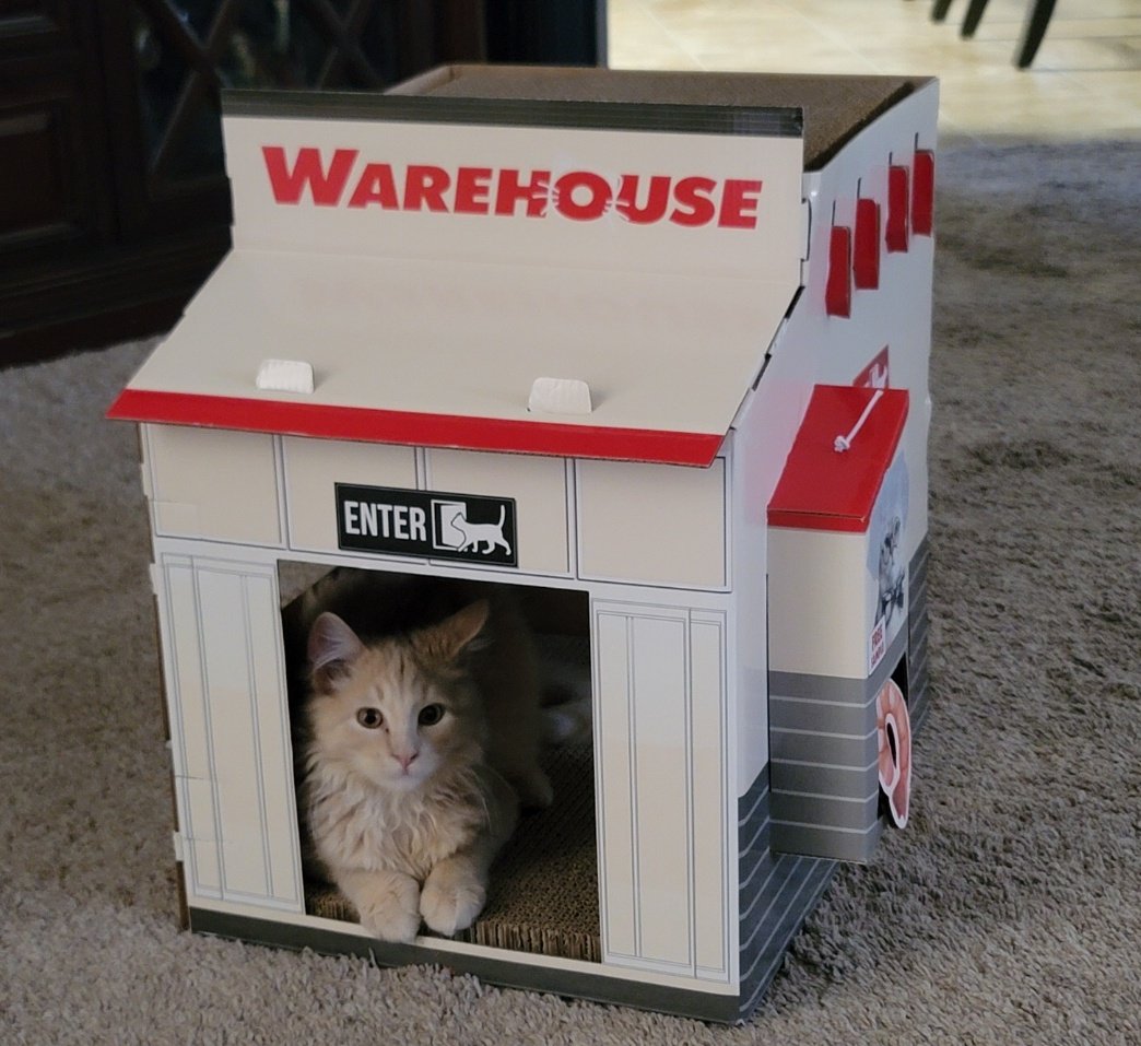 Miss Atomic tweet media