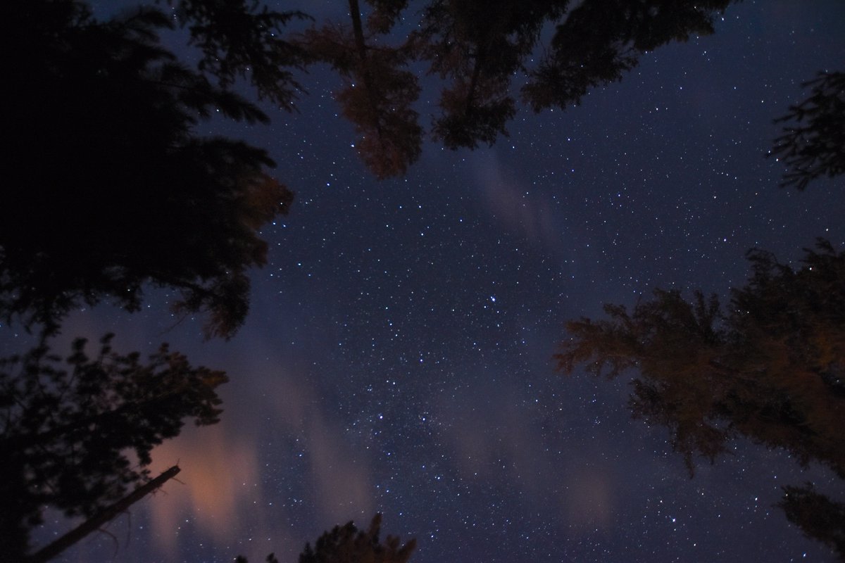 Awoo! 🐺 Hoo-hoo-hoo! 🦉

Dark skies aren't just good for us humans – they're crucial to the survival of many other species too! Countless creatures have evolved to rely on uninterrupted periods of darkness at night. 

Learn more: bit.ly/4adJw26
