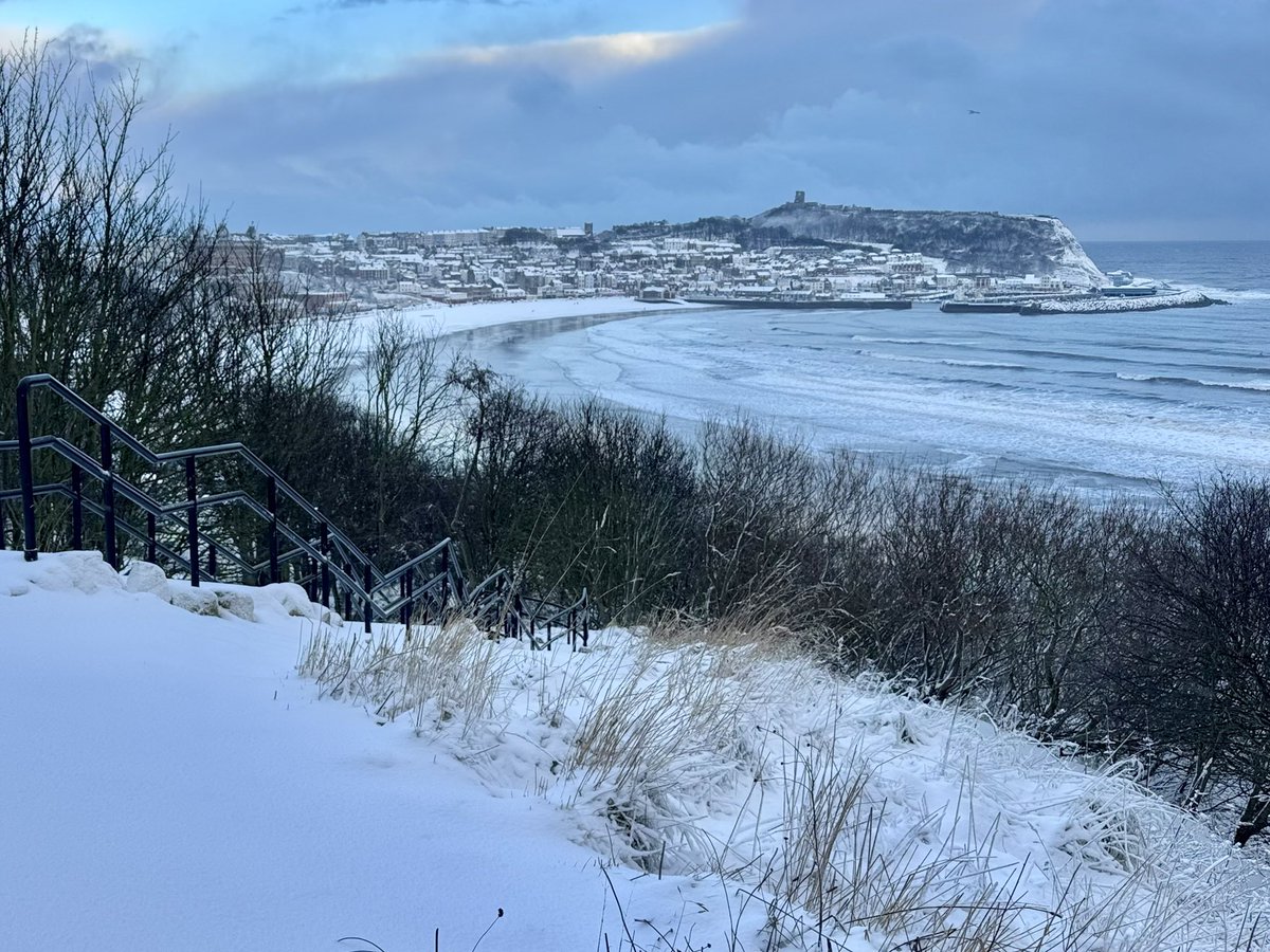 Visit Scarborough tweet media