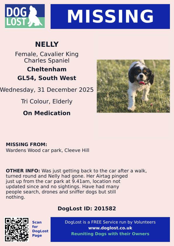 🆘31 DEC 2025 #Lost Nelly #ScanMe
ELDERLY Cavalier King Charles Spaniel
LOCAL HELP NEEDED. NEEDS MEDICATION😢
Wardens Wood Car Park #CleeveHill #GL54
#Cheltenham #Gloucestershire
doglost.co.uk/dog/201582